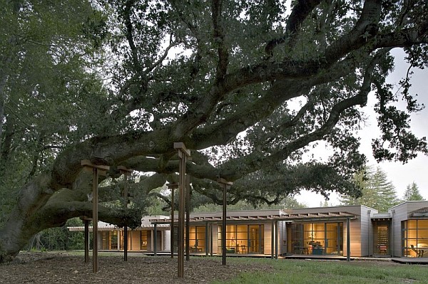 Creekside Residence 2 floor ceiling windows