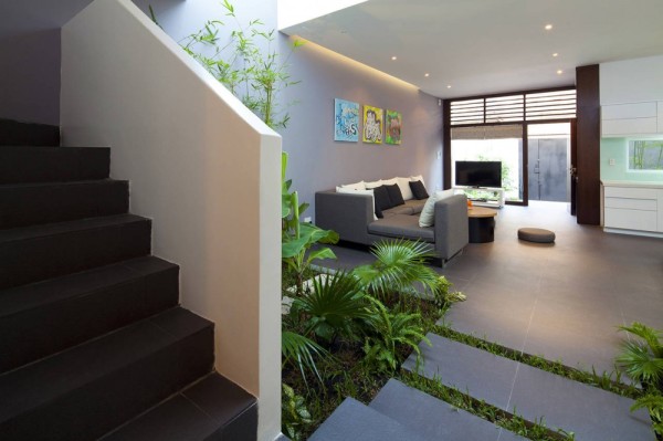 Go-Vap-Modern-House-indoor-garden-in-the-kitchen-600x399