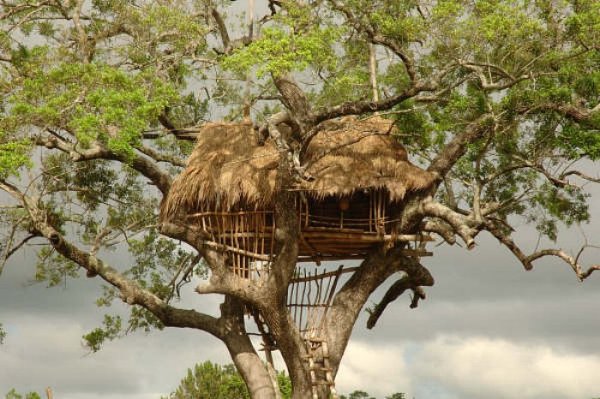 Treehouse at  Sanasuma Yoga Retreat