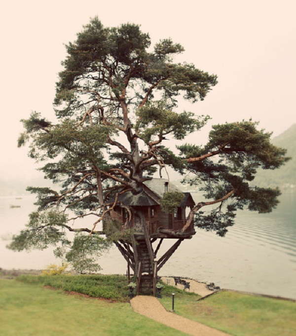 Treehouse by the lake