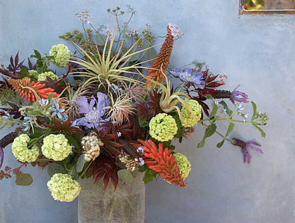 air plant flower arrangement