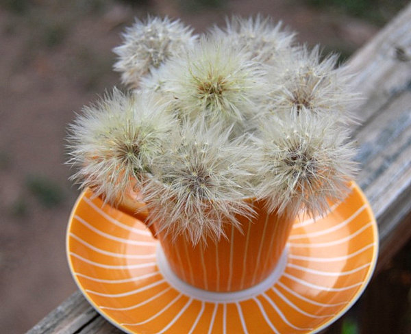 dandellion-and-teacup-flower-arrangement