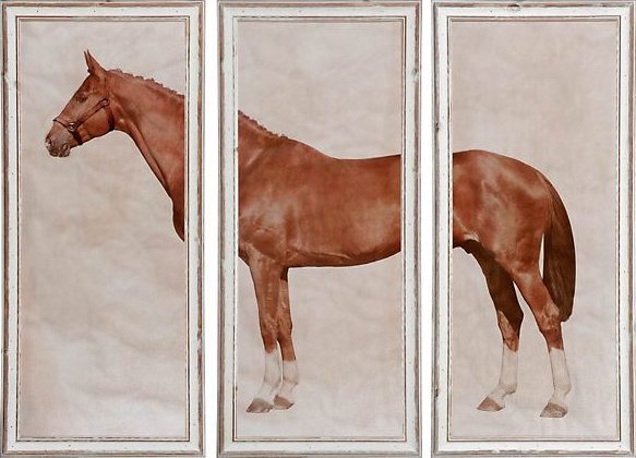 horse triptych artwork