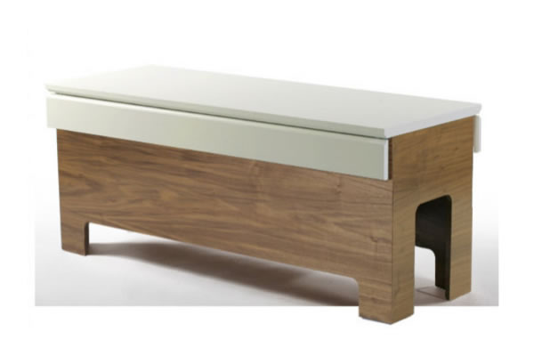 modern bench to hide your cats litter box