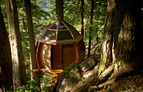 modern compact treehouse