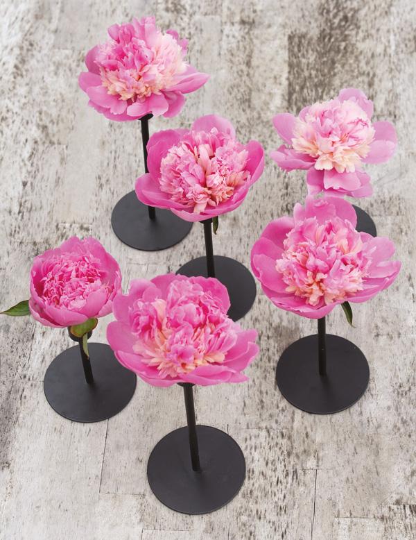 peony and candlestick flower arrangement