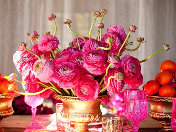 pink ranunculus