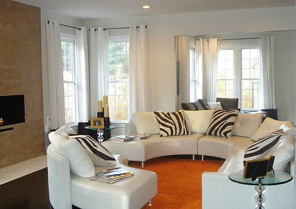 zebra stripes pillows for a living room