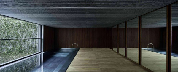 AA-House-swimming pool