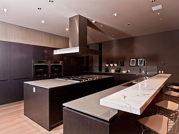 Contemporary-Home-in-California-sleek-kitchen-design