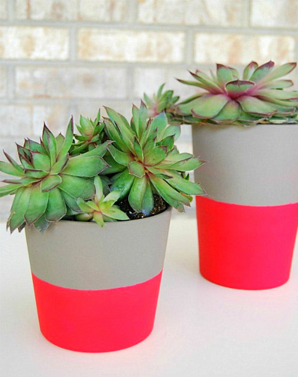 hot pink planters