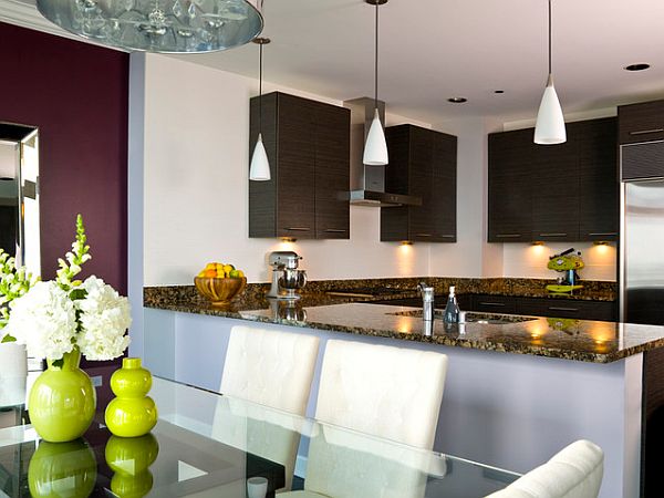 Chicago-apartment-renovation-modern-kitchen-design