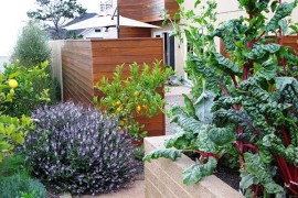 How to Create a Cold-Season Vegetable Garden