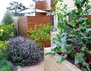 How to Create a Cold-Season Vegetable Garden