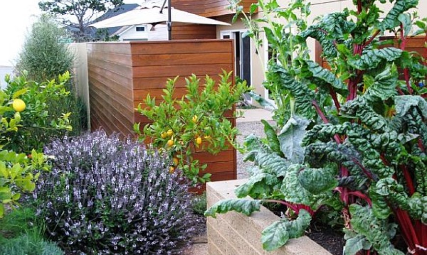 How to Create a Cold-Season Vegetable Garden