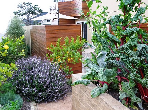 landscape design with food garden