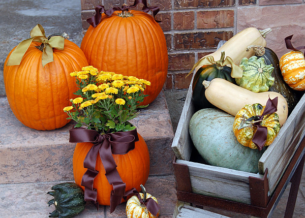 Pumpkin planters