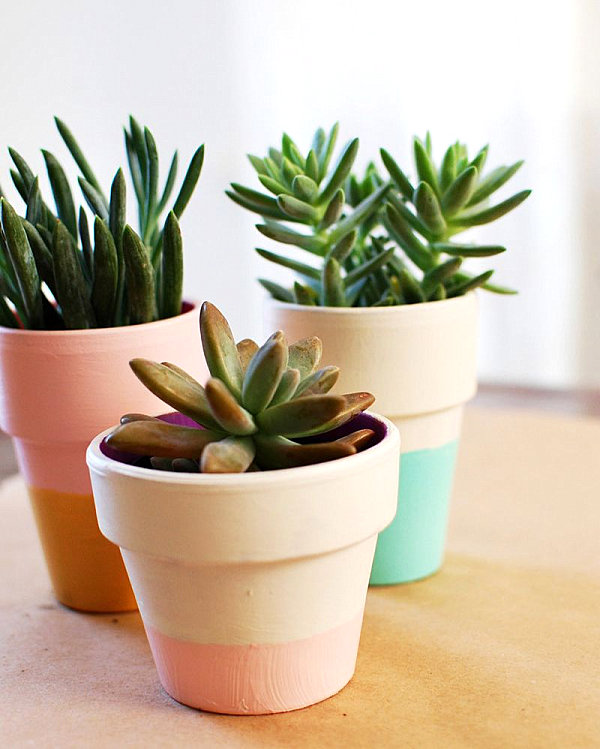 A color block terra cotta planter DIY project