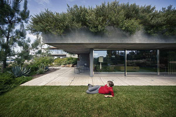 Casa La Atalaya by Alberto Kalach - lush green terrace