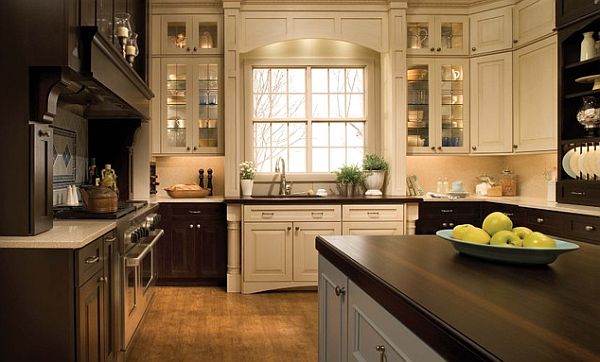 Dark and bright contrasting kitchen furniture