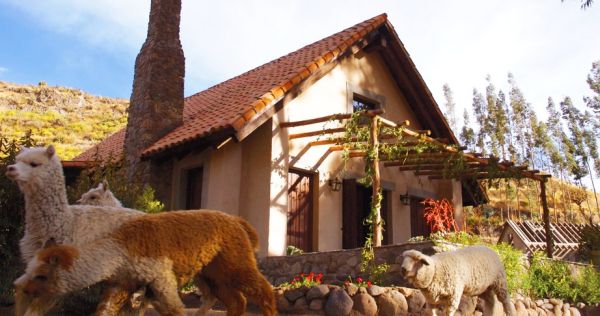 Rustic charm combined with modern comforts at the Las Casitas del Colca