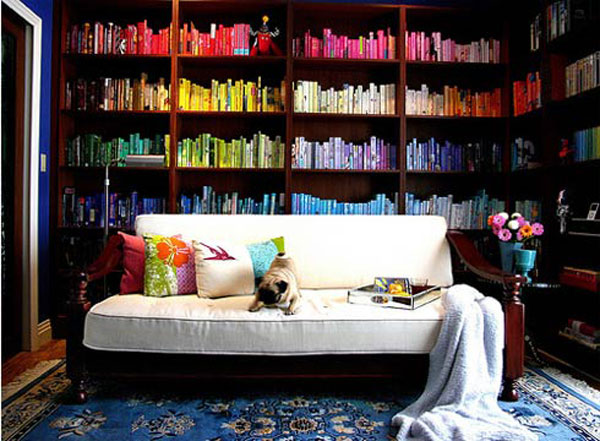 Vivacious home library full of dazzling color and vivid shades