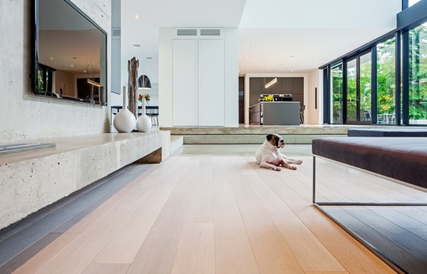 pet flooring furniture