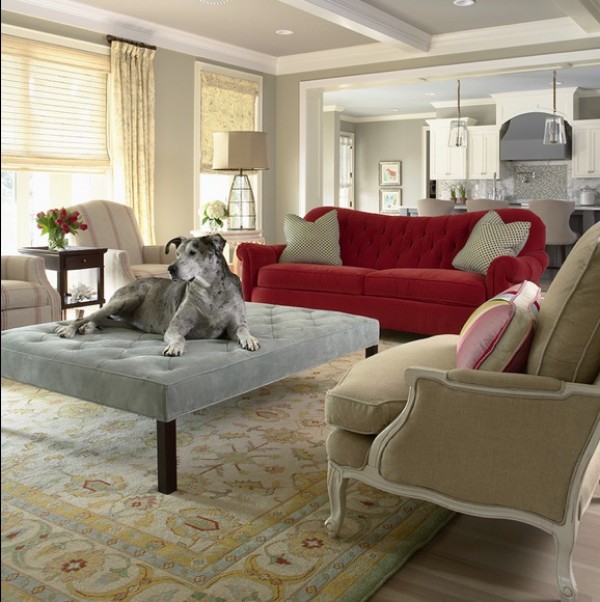 Choosing Pet Friendly Furniture for your Interiors