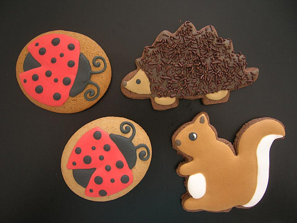 Chocolate-and-vanilla-cookies-by-Natasha-Tasic