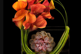 12 Unique Thanksgiving Decoration Ideas 