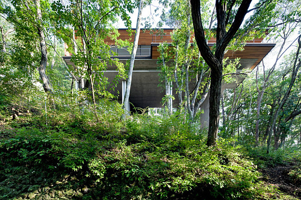 Suspended villa in Japan