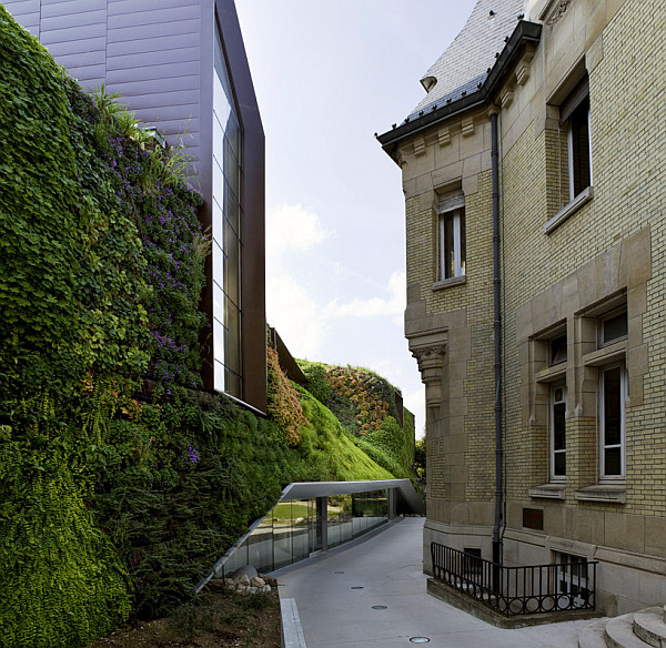 french town hall covered in green vegetation