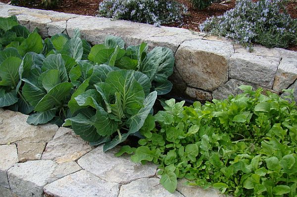 tiered garden with retaining walls