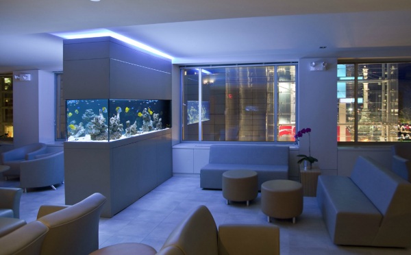 An aquarium at night