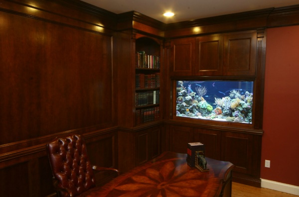 Aquarium for the home office