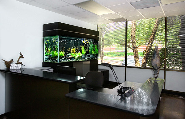 Black aquarium for the office