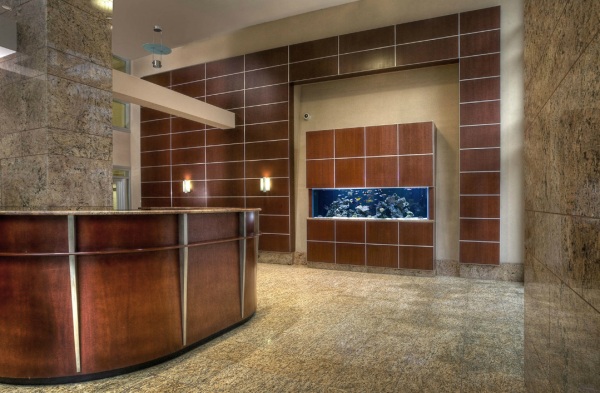 large modern fish tank for business lobby