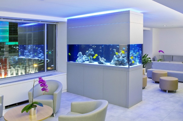 Custom aquarium in the waiting room