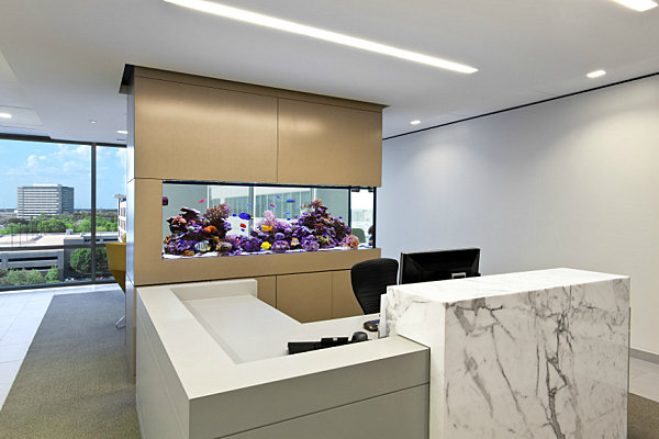 fish tank aquarium in modern lobby