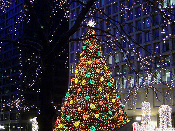 The-Daley-Plaze-Christmas-Tree-in-Chicago