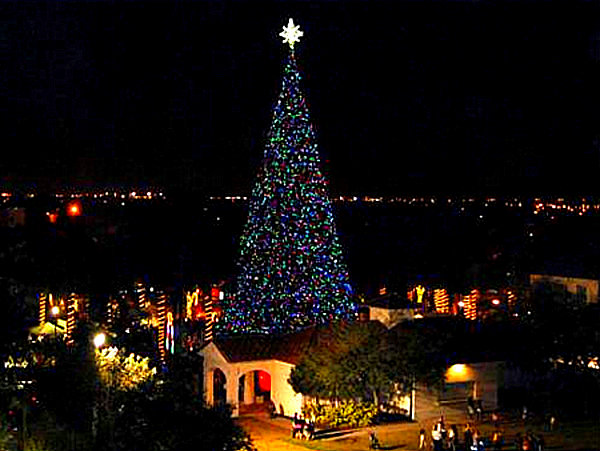 The-Delray-Beach-Florida-Christmas-Tree
