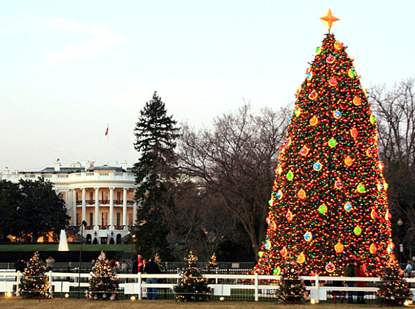 The-National-Christmas-Tree-in-Washington-DC