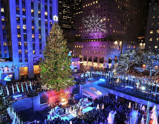 The 10 Most Amazing Christmas Trees in the U.S.