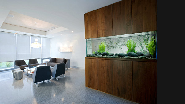 10 Cool Fish Tanks For Your Office