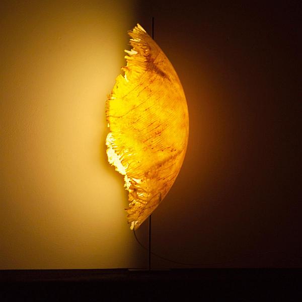 Wall-light-installation-by-Cattellani-and-Smith
