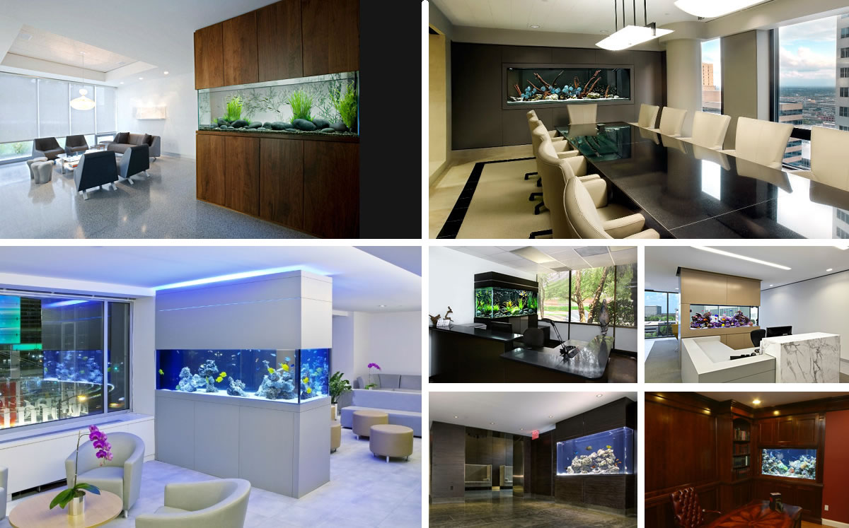 beautiful home office aquariums