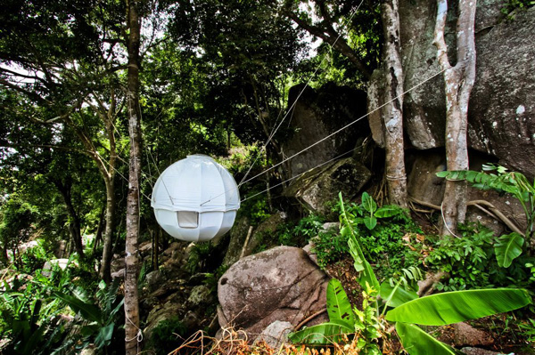 forest living - Cocoon Tree Tent