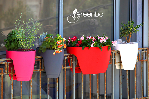 greenbo colorful planters