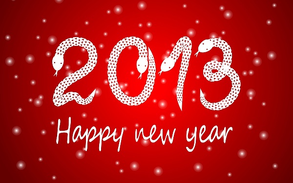 happy new year 2013