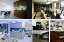 10 Cool Fish Tanks for Your Office